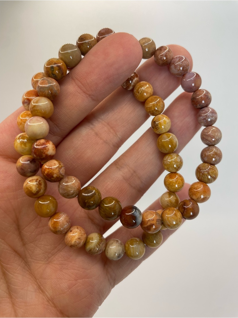 ONE Natural Multi-Tone Fossil Coral Jasper Beaded Stretch Bracelet - 7mm (0162)